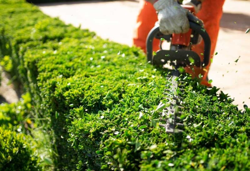 landscaping-services-Dubai