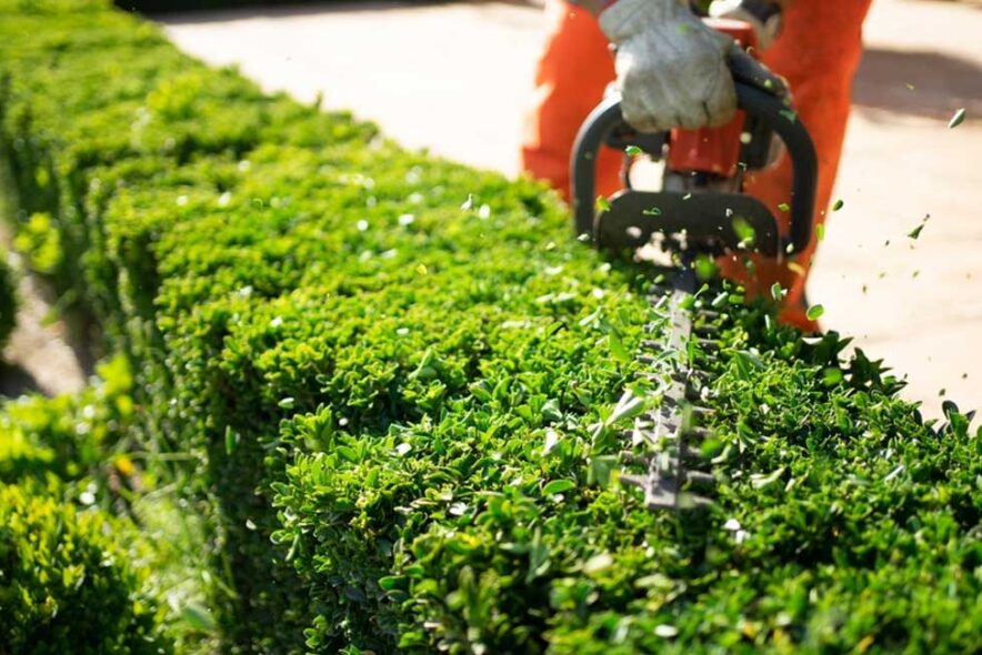 landscaping-services-Dubai