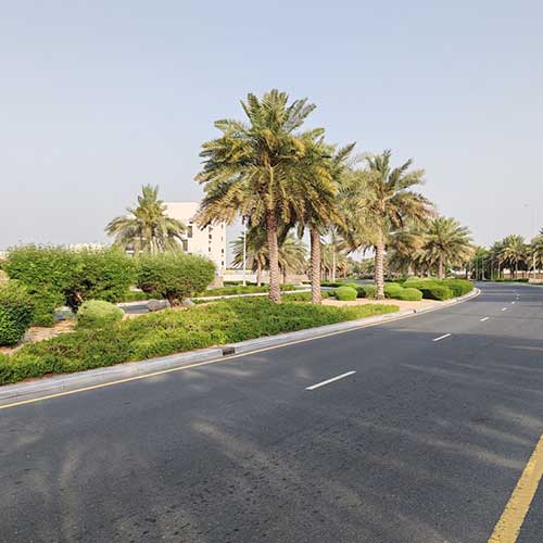 landscape-Design-3