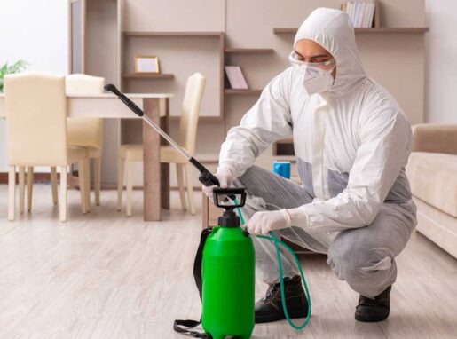 pestcontrolservice1