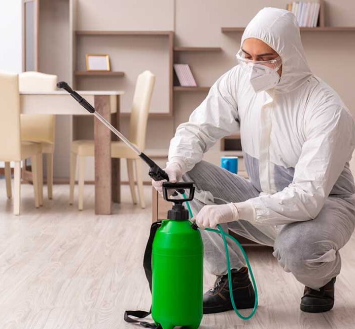 pest control services in Dubai​​​