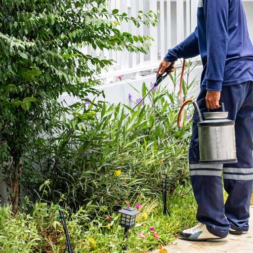pestcontrolservice2