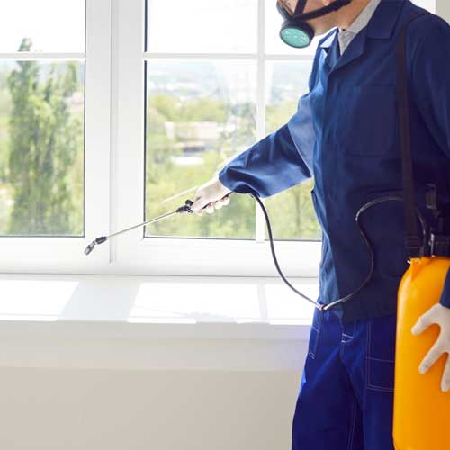 pestcontrolservice3