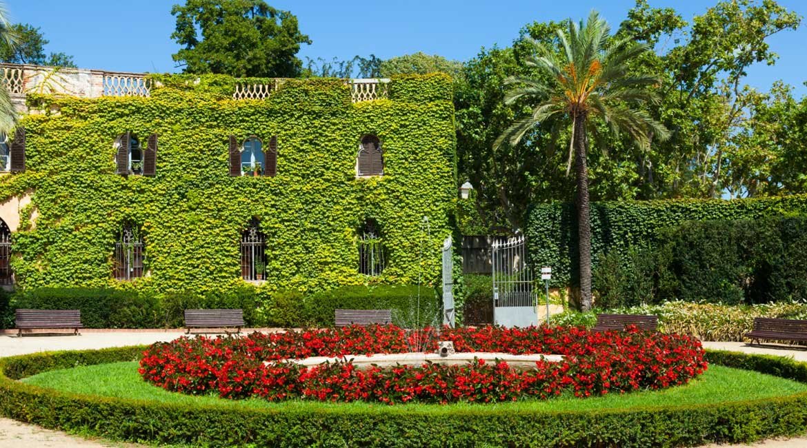 villa landscaping Dubai​